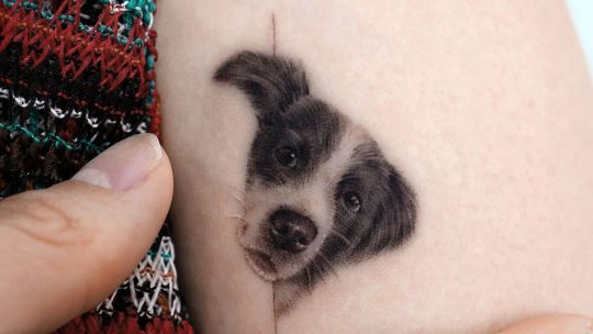 Очаровательные крошечные татуировки домашних животных от Риа Ким